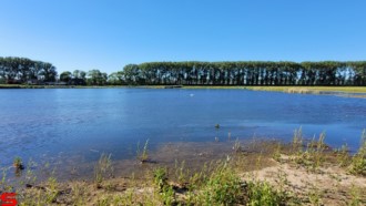 [Dier en Natuur] :: Rondje Dordt 5 juni 2021 (5)