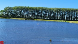 [Dier en Natuur] :: Rondje Dordt 5 juni 2021 (6)