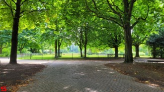 [Dier en Natuur] :: Wantijpark 8 juli 2021 (4)