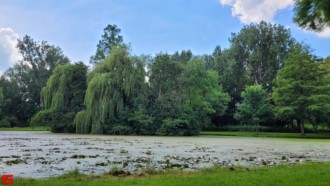 [Dier en Natuur] :: Wantijpark 8 juli 2021 (7)
