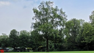 [Dier en Natuur] :: Wantijpark 8 juli 2021 (13)