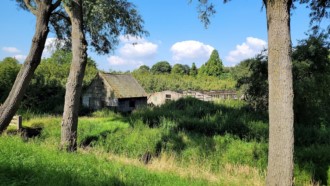 [Dier en Natuur] :: Klein rondje Dordt 25 aug 2021 (3)