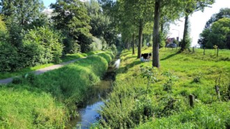[Dier en Natuur] :: Klein rondje Dordt 25 aug 2021 (4)