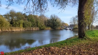 [Dier en Natuur] :: de Vlij 18 nov 2021 (3)