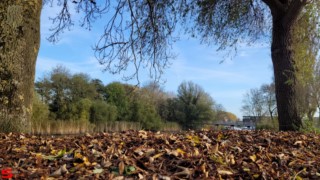 [Dier en Natuur] :: de Vlij 18 nov 2021 (4)