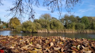 [Dier en Natuur] :: de Vlij 18 nov 2021 (6)
