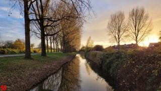 23 November 2021 :: Hefst weertje 23 November 2021 :: Hefst weertje