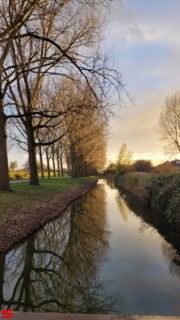 [Dier en Natuur] :: Hefst weertje (4)