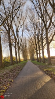 [Dier en Natuur] :: Hefst weertje (5)
