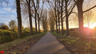 [Dier en Natuur] :: Hefst weertje (6)
