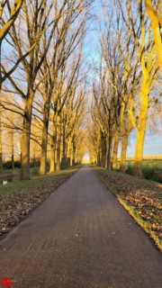 [Dier en Natuur] :: Hefst weertje (7)