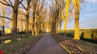 [Dier en Natuur] :: Hefst weertje (8)
