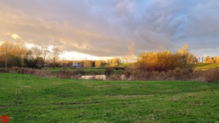 [Dier en Natuur] :: Hefst weertje (9)