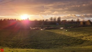 [Dier en Natuur] :: Hefst weertje (10)