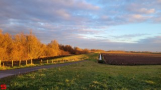 [Dier en Natuur] :: Hefst weertje (11)