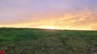[Dier en Natuur] :: Hefst weertje (12)