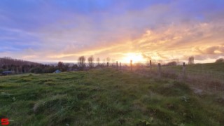[Dier en Natuur] :: Hefst weertje (14)
