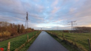 [Dier en Natuur] :: Hefst weertje (15)