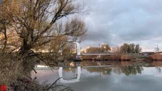 [Dier en Natuur] :: Hefst weertje (16)