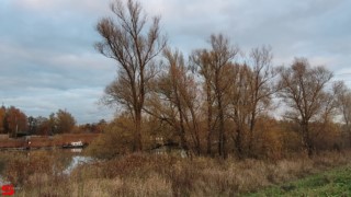 [Dier en Natuur] :: Hefst weertje (17)