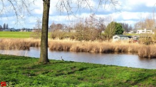 [Dier en Natuur] :: de Vlij 7 feb 2022 (4)