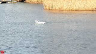 [Dier en Natuur] :: de Vlij 7 feb 2022 (8)