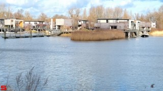 [Dier en Natuur] :: de Vlij 7 feb 2022 (9)