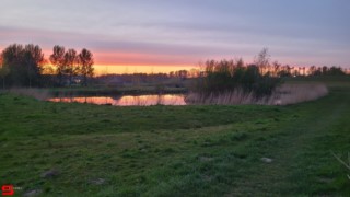 [Dier en Natuur] :: Wantijdijk 13 april 2022 (3)