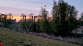 [Dier en Natuur] :: Wantijdijk 13 april 2022 (4)