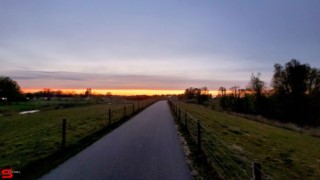 [Dier en Natuur] :: Wantijdijk 13 april 2022 (5)