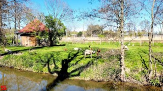 [Dier en Natuur] :: Mooi weer met 1e Paasdag (4)