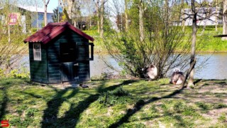 [Dier en Natuur] :: Mooi weer met 1e Paasdag (6)