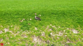 [Dier en Natuur] :: Mooi weer met 1e Paasdag (11)
