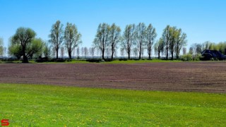 [Dier en Natuur] :: Mooi weer met 1e Paasdag (14)
