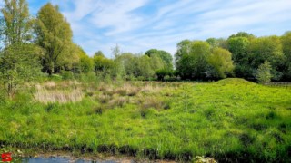 [Dier en Natuur] :: Landgoed Dordwijk en Dubbelsteynpark (4)