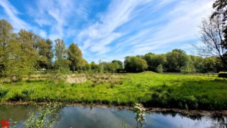 [Dier en Natuur] :: Landgoed Dordwijk en Dubbelsteynpark (5)