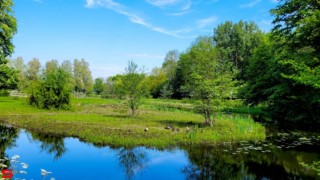 [Dier en Natuur] :: Landgoed Dordwijk en Dubbelsteynpark (10)