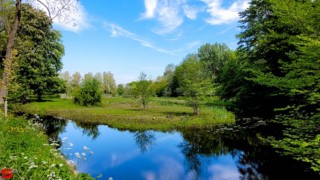[Dier en Natuur] :: Landgoed Dordwijk en Dubbelsteynpark (11)