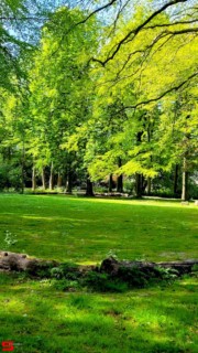 [Dier en Natuur] :: Landgoed Dordwijk en Dubbelsteynpark (14)