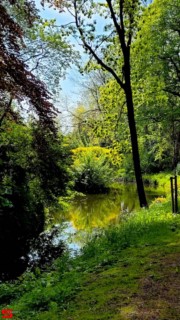 [Dier en Natuur] :: Landgoed Dordwijk en Dubbelsteynpark (15)