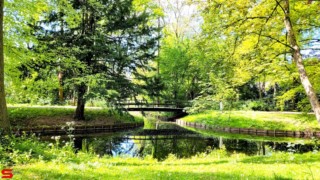 [Dier en Natuur] :: Landgoed Dordwijk en Dubbelsteynpark (17)