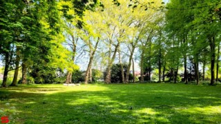 [Dier en Natuur] :: Landgoed Dordwijk en Dubbelsteynpark (18)