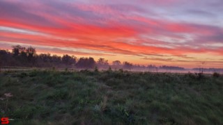 [Dier en Natuur] :: Zonsopkomst 12 okt 2022 (5)