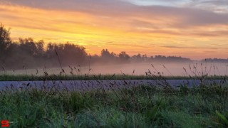 [Dier en Natuur] :: Zonsopkomst 12 okt 2022 (17)