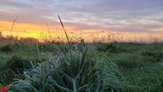 12 Oktober 2022 :: Zonsopkomst 12 okt 2022 12 Oktober 2022 :: Zonsopkomst 12 okt 2022