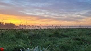 [Dier en Natuur] :: Zonsopkomst 12 okt 2022 (19)