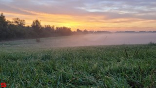 [Dier en Natuur] :: Zonsopkomst 12 okt 2022 (6)