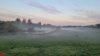 [Dier en Natuur] :: Zonsopkomst 12 okt 2022 (11)