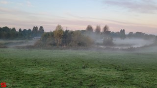 [Dier en Natuur] :: Zonsopkomst 12 okt 2022 (12)