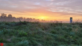 [Dier en Natuur] :: Zonsopkomst 12 okt 2022 (13)